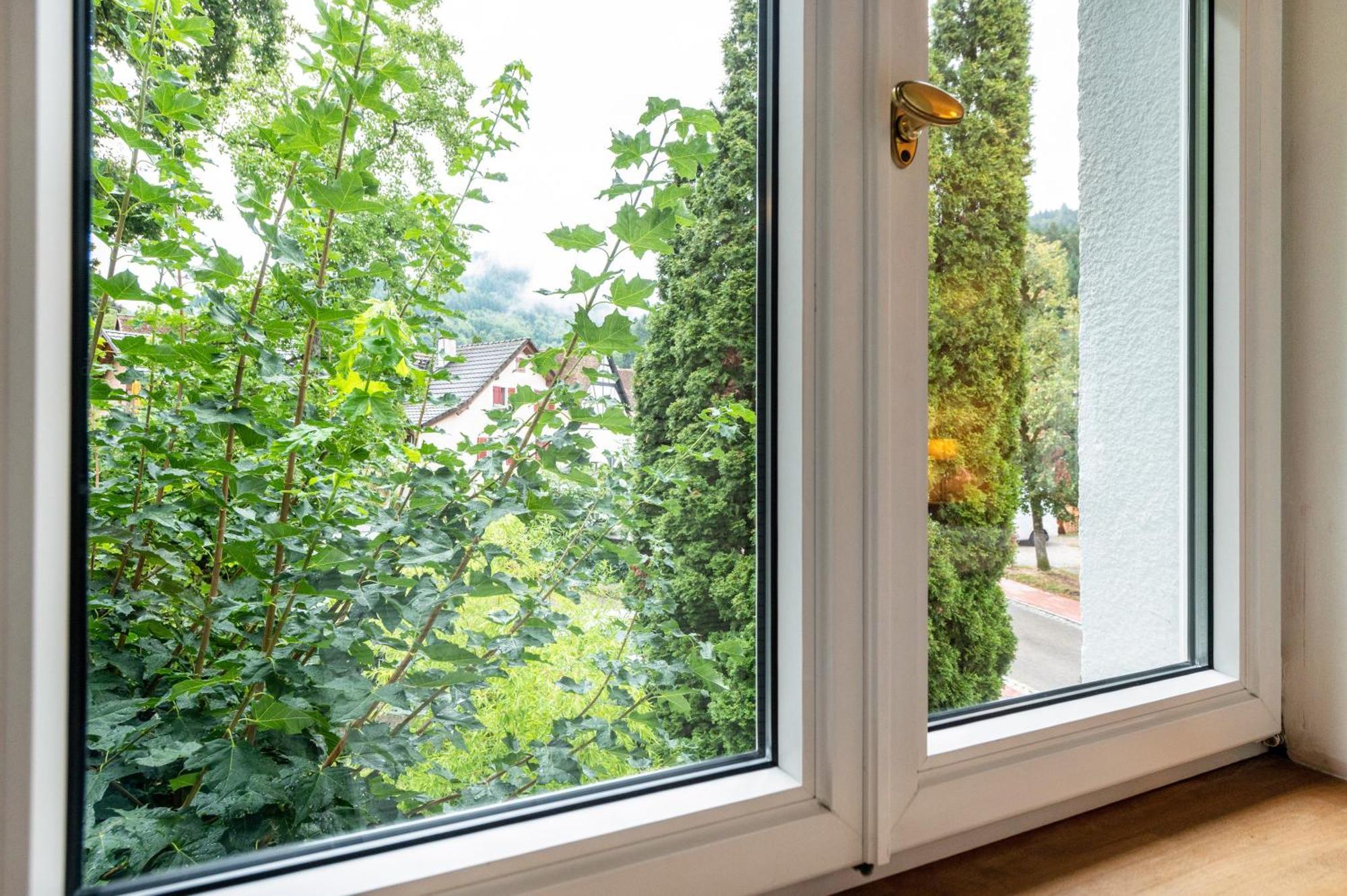 Appartement Waldhorn Badenweiler Dış mekan fotoğraf